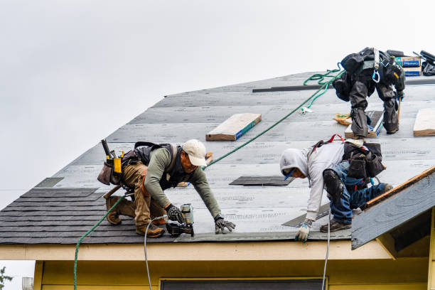 Professional Storm Damage Roof Repair technician working in Chester, TX